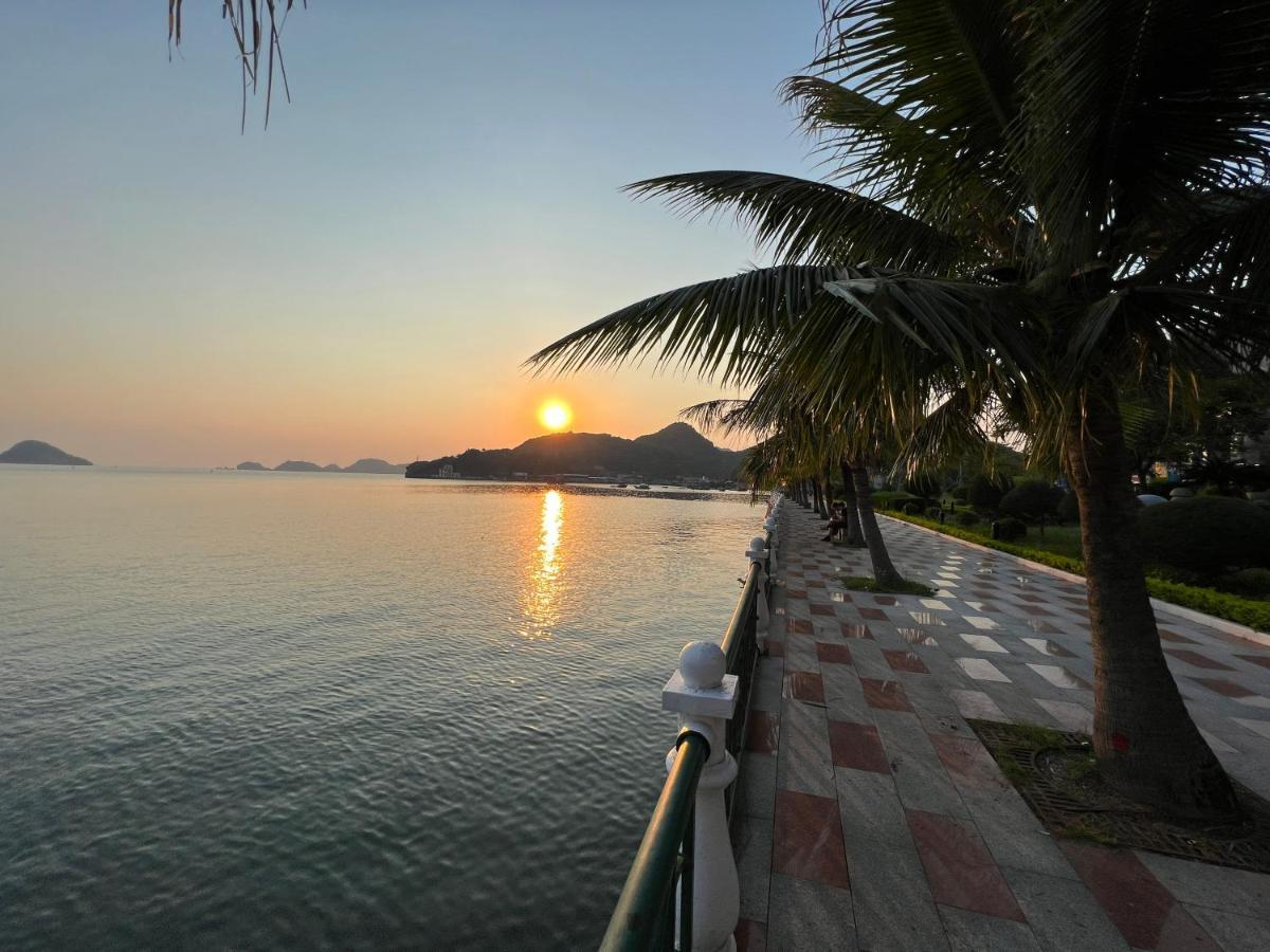 Cat Ba Bay Vision